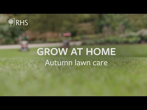 Video: Lawn Care In Autumn