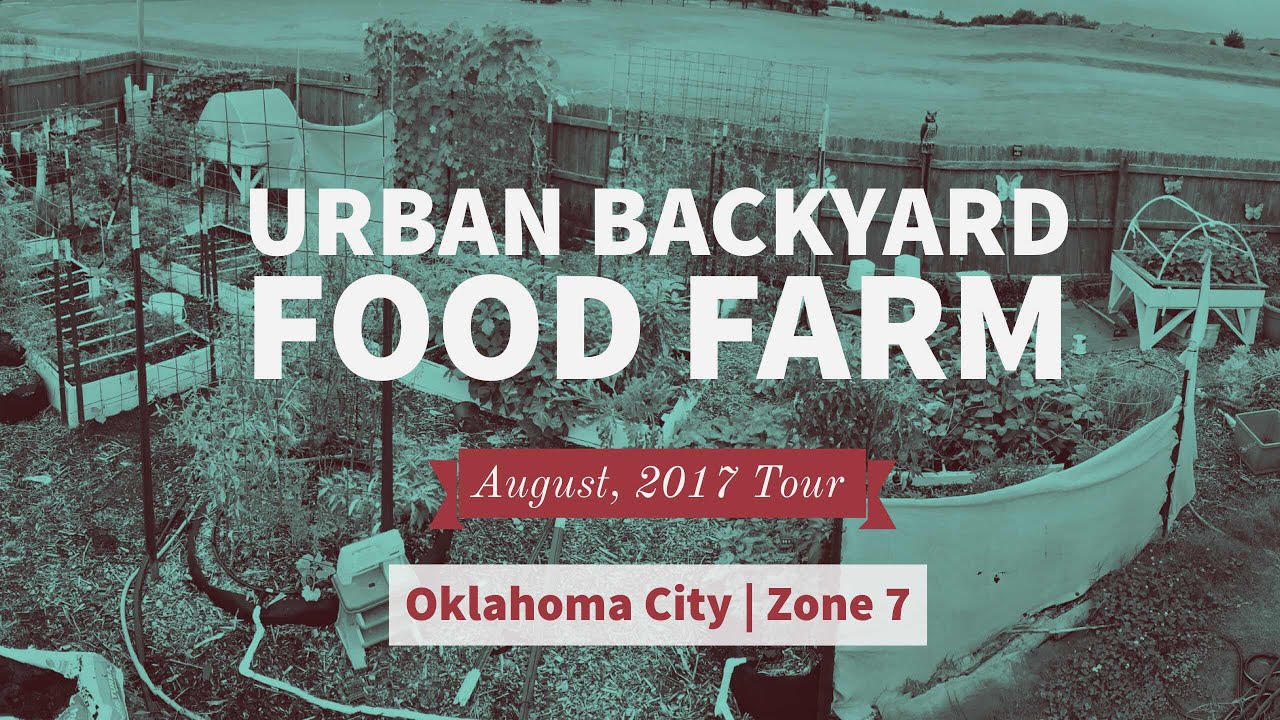 August, 2017 Summer Garden Update/Tour (Urban Zone 7 Oklahoma Backyard Farm)