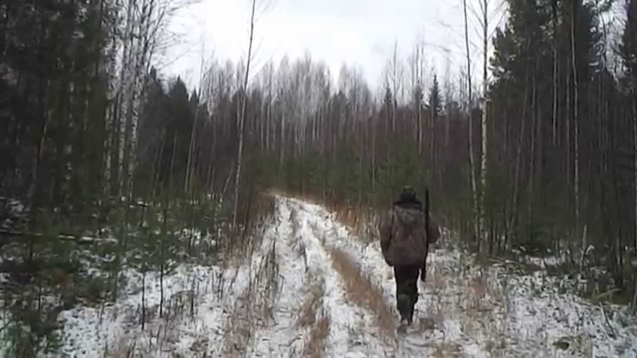 Охота на белку .Открытие сезона (часть 1)