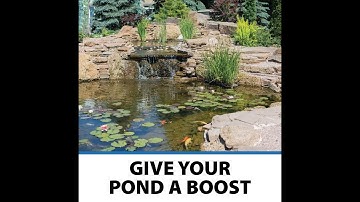CrystalClear PondShock Ball, Natural Enzymes & Live Bacteria, Freshwater Clarifier Shock Treatment