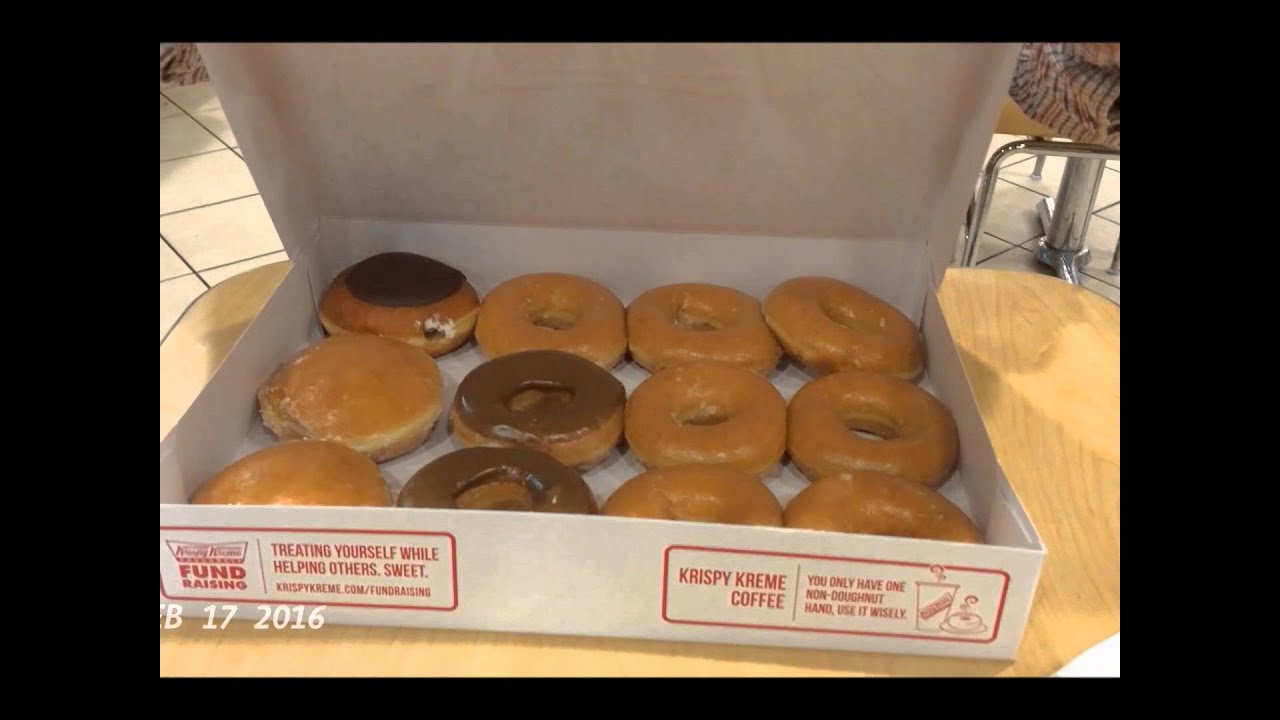 1 Second Everyday - February 2016, LisaNotes