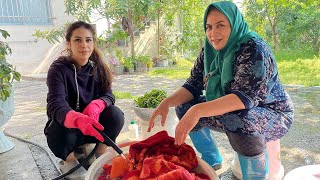 Rural Life IRAN: Weekly Routine Of Rural Women Of IRAN | Washing Stone Chair & Blanket