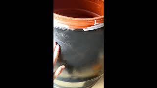 How to Paint a Rain Barrel