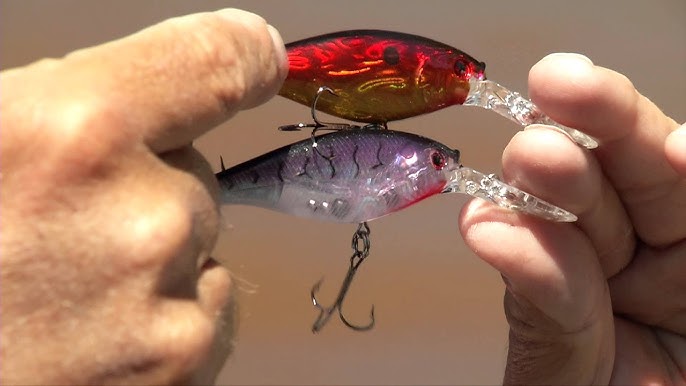 The Complete Berkley Flicker Minnow Review: Everything You Need To Know! 