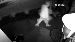 Larceny from Front Porch, Police Look to ID Suspect