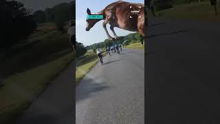 Thats What Id Call A Deer-Miss 🦌😂