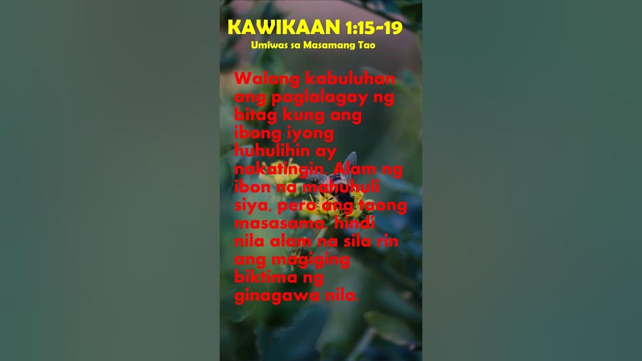 kawikaan-1-15-19-audio-text-scripture-bible-proverbs-youtube
