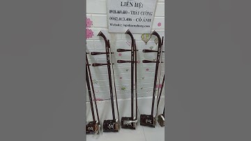 Bán đàn hồ tại quận gò vấp, bán nhạc cụ dân tộc tại quận bình thạnh