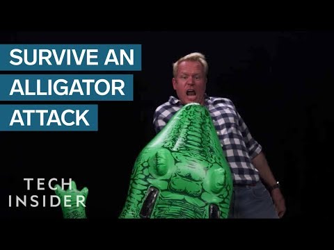 Video: Skal du angribe en alligators øjne?