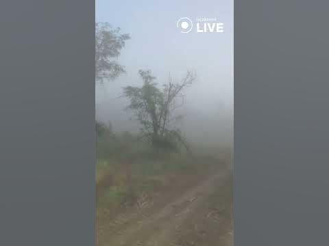 🔥🔥🔥 Блукаю, як їжак у тумані - YouTube