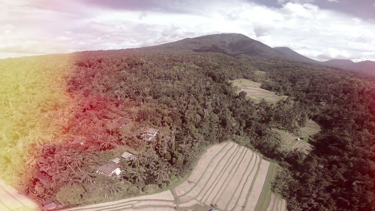 Cinematic batukaru rice field 