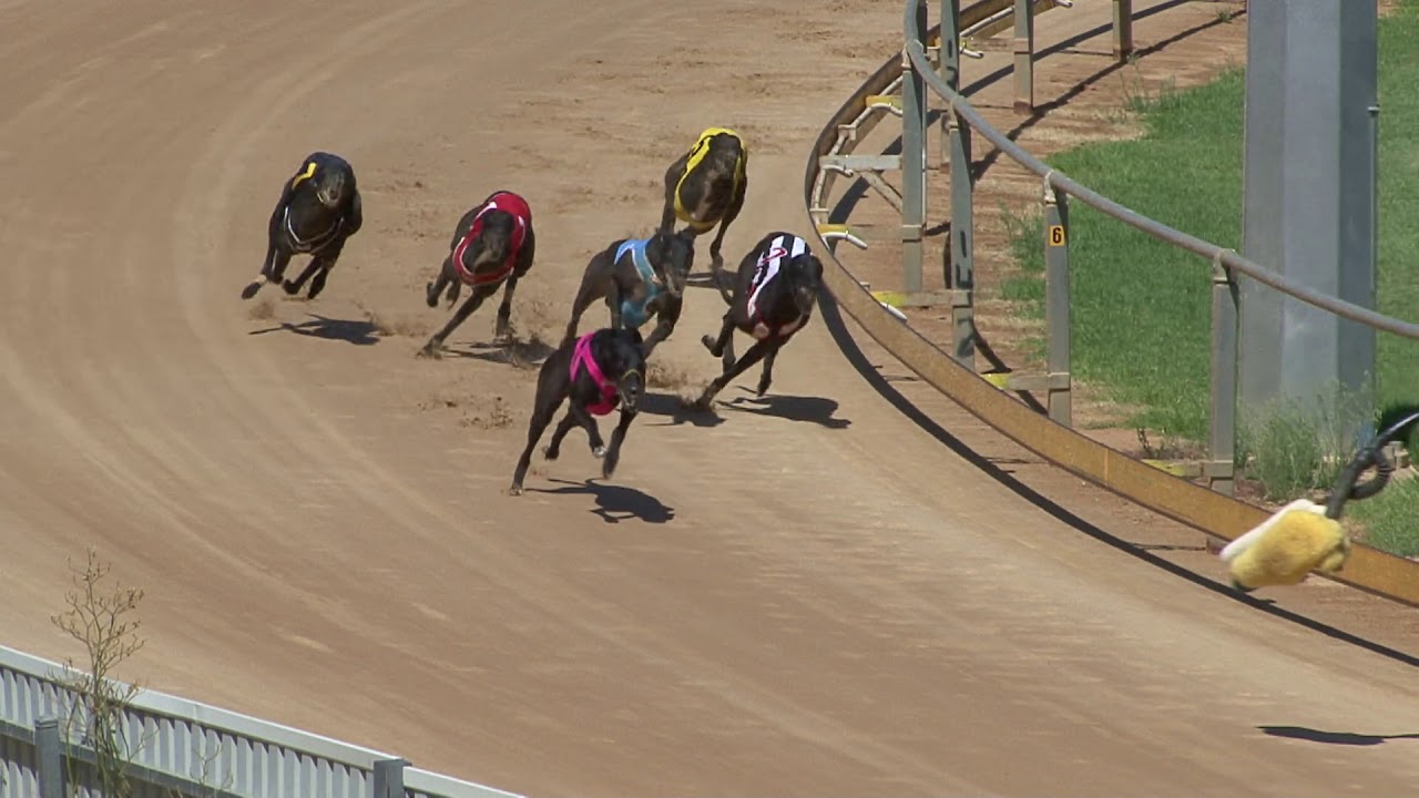 Gawler25022020Race12 YouTube