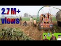 Corn Silage Harvesting with Celmak Stationary Silage Machine IN PAKSTIN LAYYAH 2019 NS DESI CHANNEL