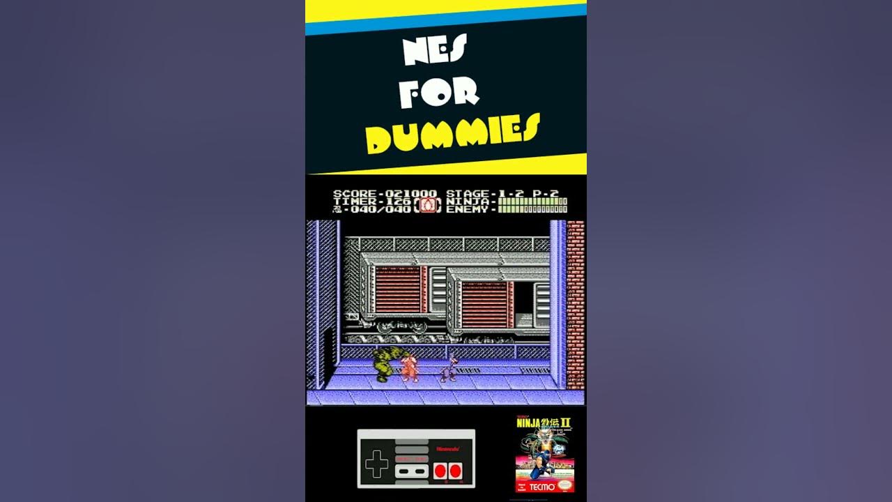 NES for Dummies Ninja Gaiden II YouTube