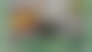 My Geek Box unboxing February 2020