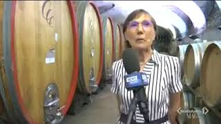 Cascina Castlet - Studio Aperto - 2
