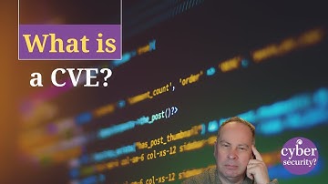 What is a CVE?