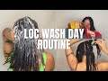 Loc Wash Day Routine | How to Wash Your Locs