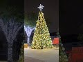 All aboard for the holiday lights at McCormick-Stillman Railroad Park