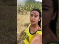 Walking Through the Coconut Farm! 🌴 Beautiful Nature Views #Shorts