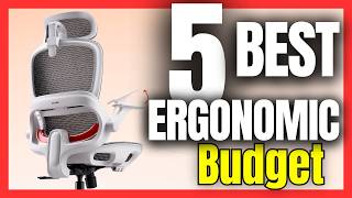 🔥 The 5 BEST BUDGET Office Chair on Amazon [2026]✅[cheap]