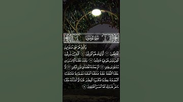 #ايات_قرانيه_قصيره#ايات_القرآن_الكريم #تلاوة_خاشعة  #ايات #صلوا_على_النبي #اكسبلور #ايات #المؤمنون