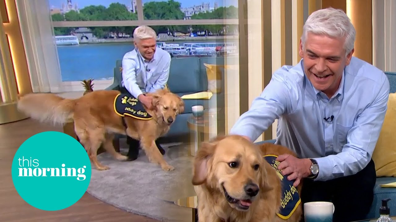Dog 'Too Friendly' To Be Guide Dog Wins Phillip's Heart This Morning