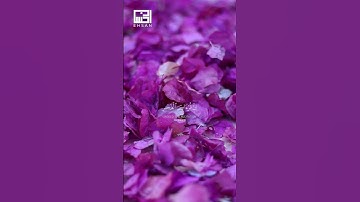الآيات 78-79 من سورة الإسراء بصوت الشيخ فارس عباد
