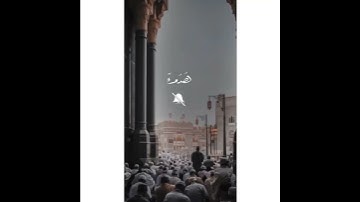 تلاوة هادئة مريحة 😍🥺 القارئ حسين طيار