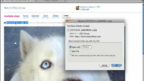 How to Find Creative Commons Photos on Flickr