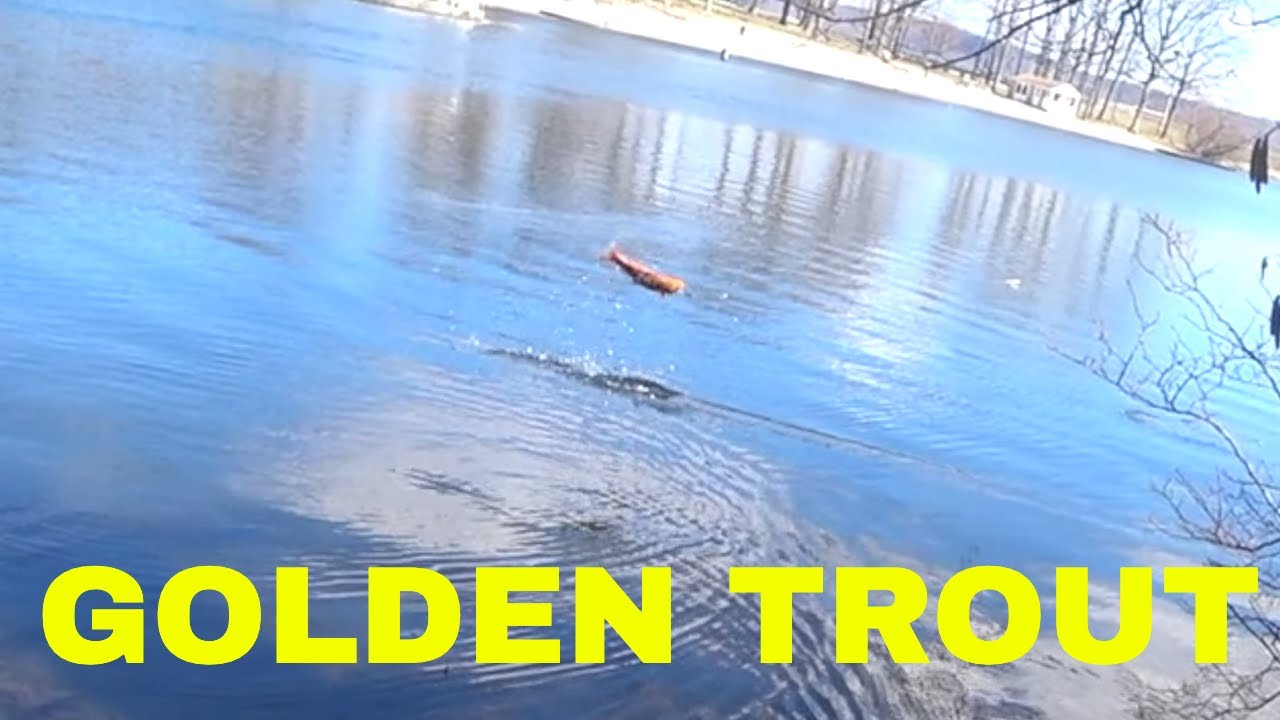 OPENING DAY TROUT FISHING IN ORANGE COUNTY NEW YORK YouTube