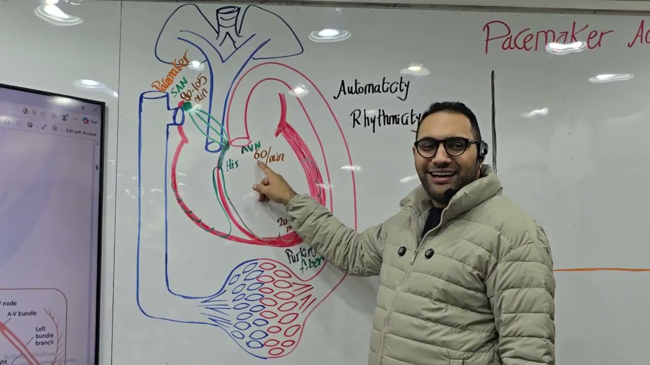 Cardio-physiology lecture-2  Kasr alainy 2026 