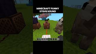 MINECRAFT FUNNY STEVE SOUND 💀 #minecraft #shorts
