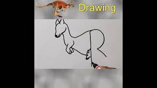 Kangaroo Drawing 😲 #shorts #drawing #youtubeshorts