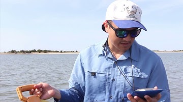 Uncharted territory: UNC scientists use drones to detect sharks