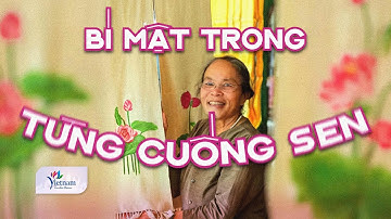 Loại tơ quý hiếm nhất Việt Nam: Mất 10.000 cuống sen mới dệt được một tấm vải | Vietnam Tourism