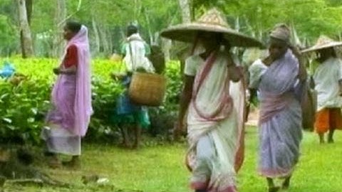 Home Ministry discusses proposal to accord tribal status to six new communities in Assam