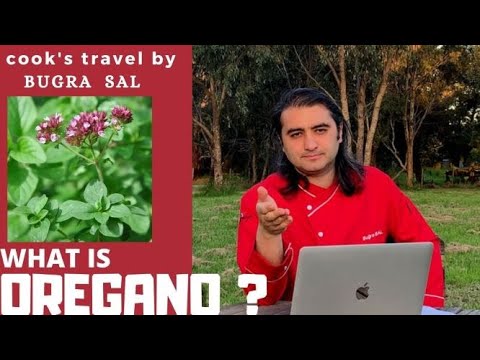 Video: What Is Oregano