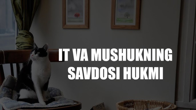 yosh tombul ayol sikilib ketyapti Yosh ayol uchlik qilishga urinmoqda