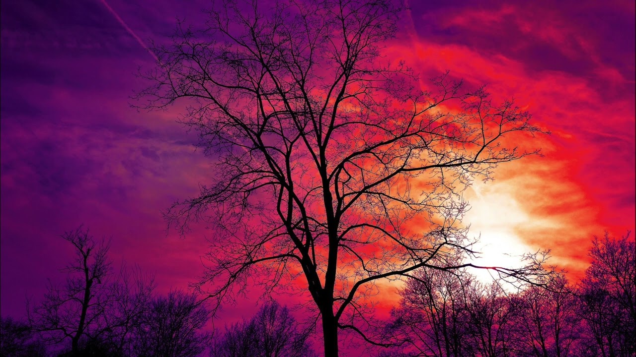 Bnm Corp - Bach To The Future (Original Mix)