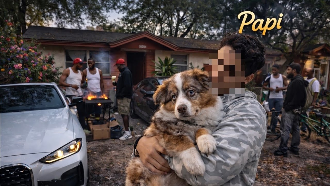 Papi #3: Exploring Tampa 🌴🔥 / بابي #3: استكشاف تامبا 🌴🔥