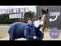 Meet My New Horse, Woody | New Horse Vlog | Riding With Rhi