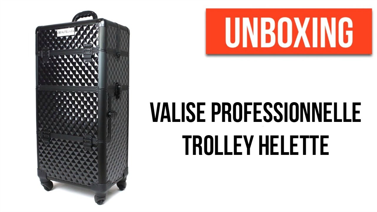 Valise professionnelle trolley 2 en 1