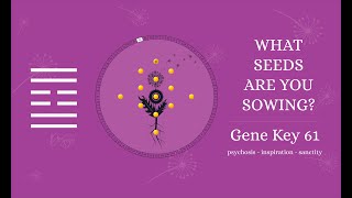 61st Archetype: The Mystic (Gene Key 61)