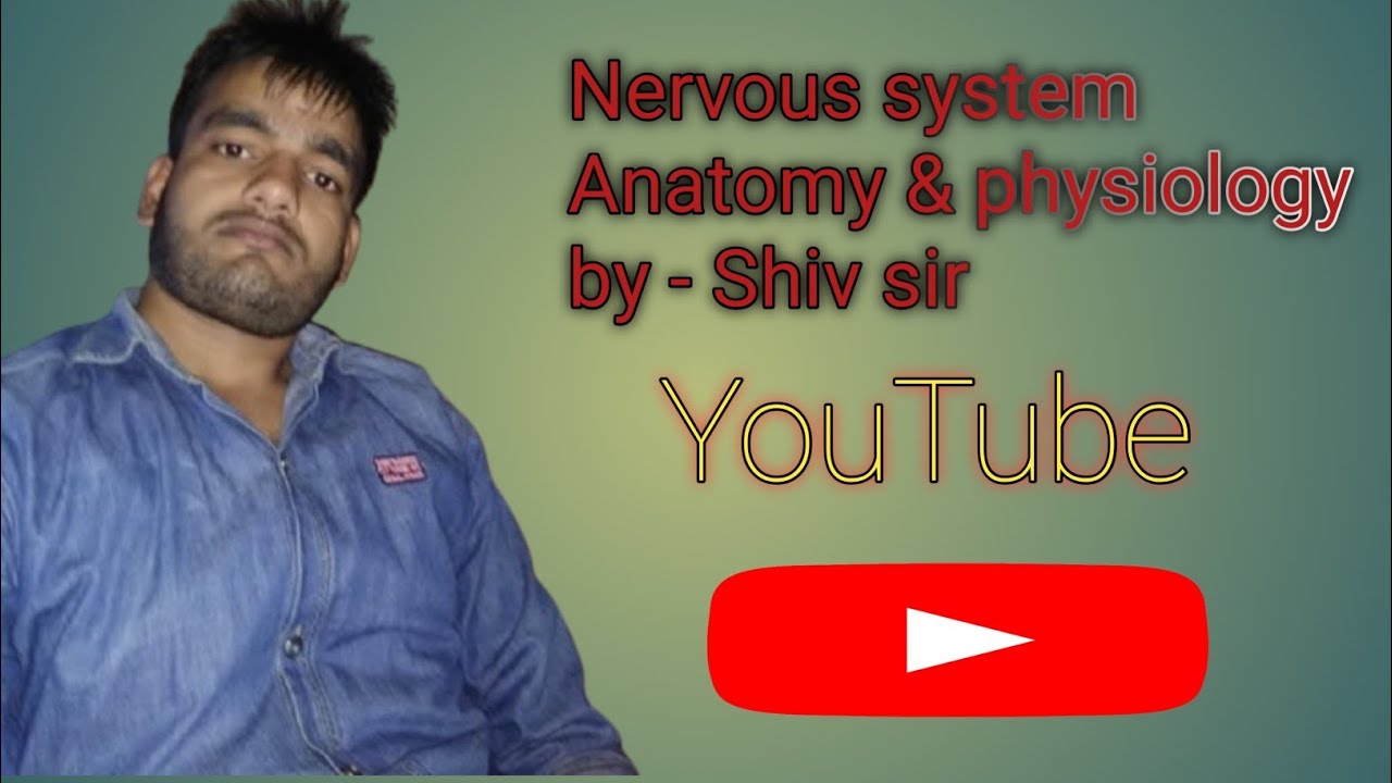 CLASS 5 NEUROGLIA/GLIAL CELL /GLIA/SUPPORTING CELL OF NERVOUS SYSTEM BY shiv sir