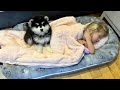 Adorable Puppy Won&#39;t Leave Sleeping Little Girl! (Cutest Ever!!)