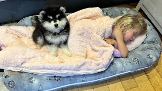 Adorable Puppy Won't Leave Sleeping Little Girl! (Cutest Ever!!)