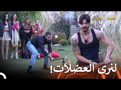 صراع القوى بين الأسود قسمة ونصيب   الحلقة 32