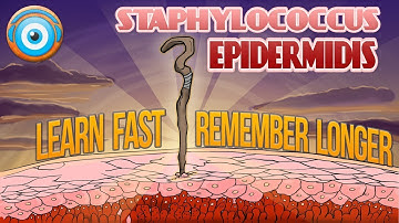 Staphylococcus Epidermidis:10 MUST-KNOW FACTS (Step 1, COMLEX, NCLEX®, PANCE, AANP)