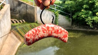 INSANE Catch in a Tiny Spillway!!! (BIGGEST of the Year!)